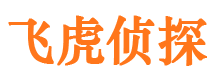 杜集外遇调查取证